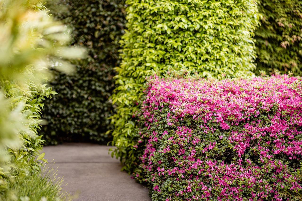 Garden Residence Lana Eksteriør billede